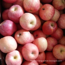 Fresh FUJI Apple Top Quality From China